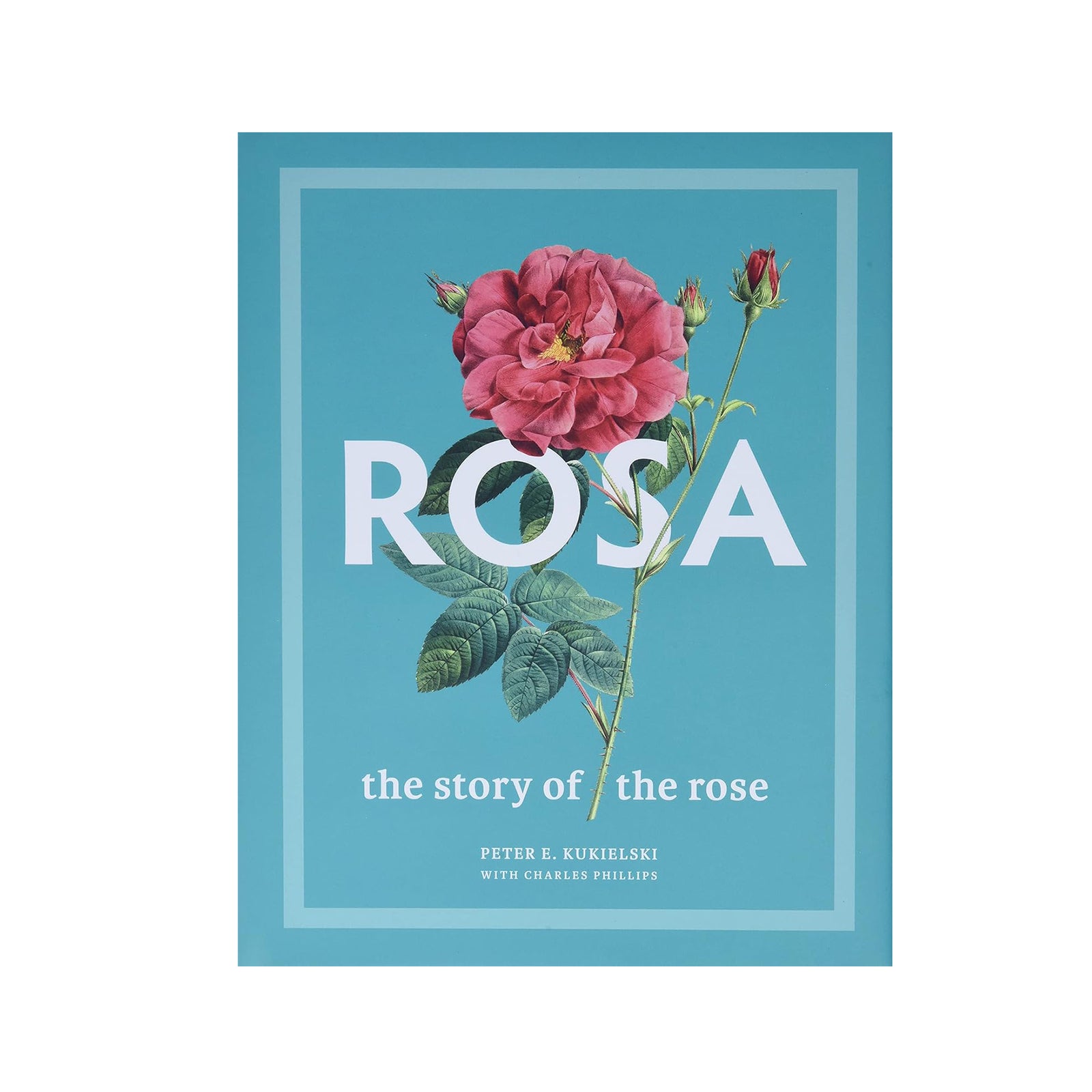 Book cover of 'Rosa: The Story of the Rose' with a pink rose on a blue background