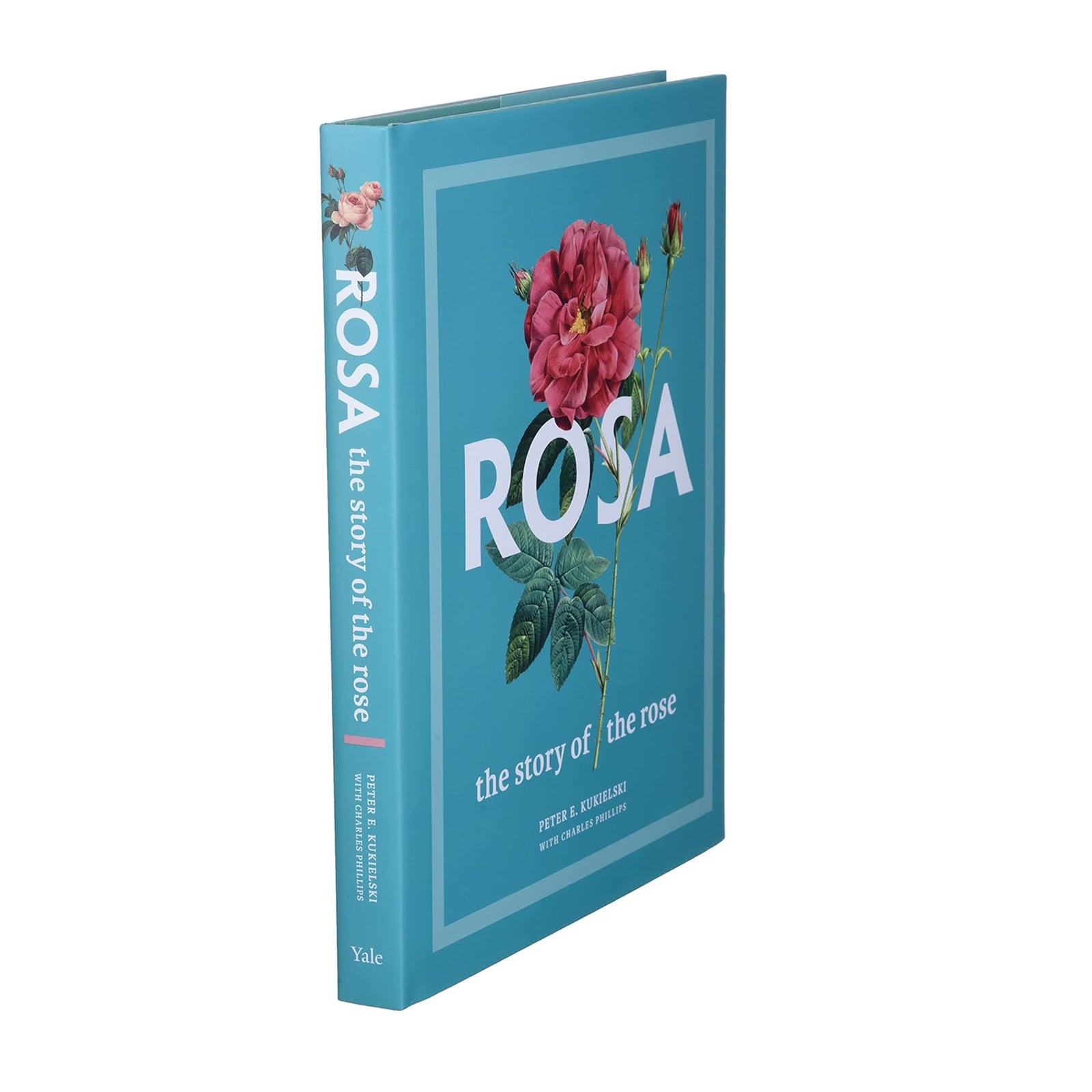 Book cover of 'Rosa: The Story of the Rose' with a pink rose on a blue background