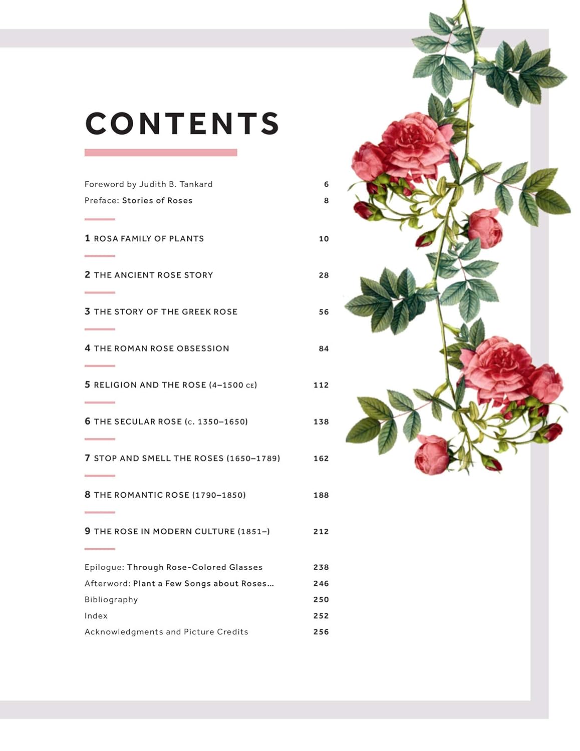 ROSA: THE STORY OF THE ROSE