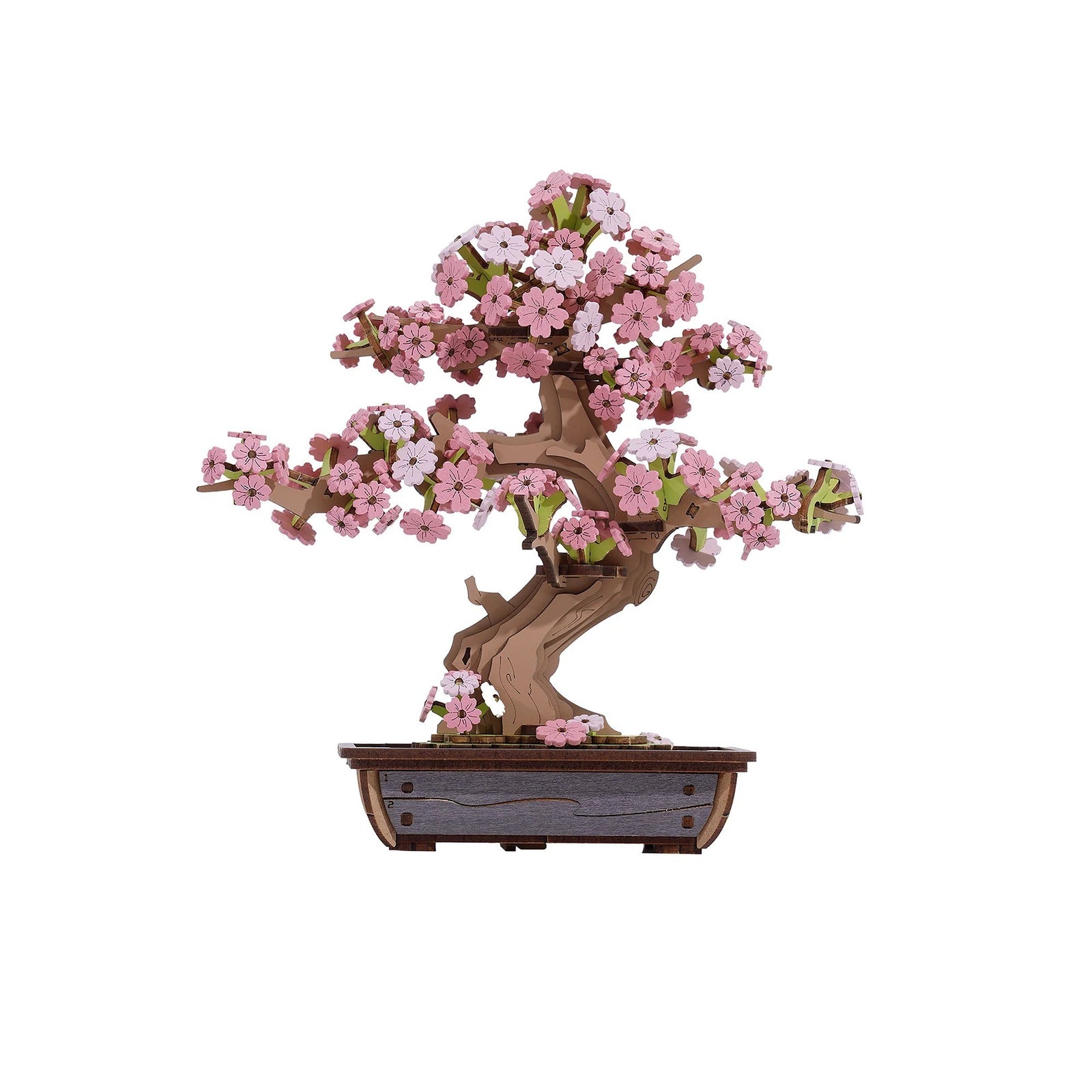 Bonsai tree with pink and white flowers in a wooden pot on a white background