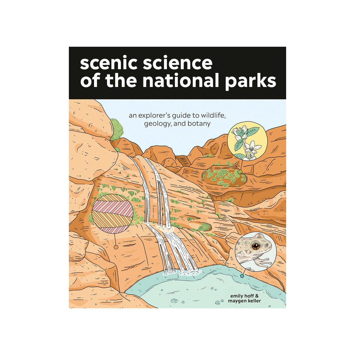 Book cover of 'Scenic Science of the National Parks' with illustrations of a waterfall and natural elements.