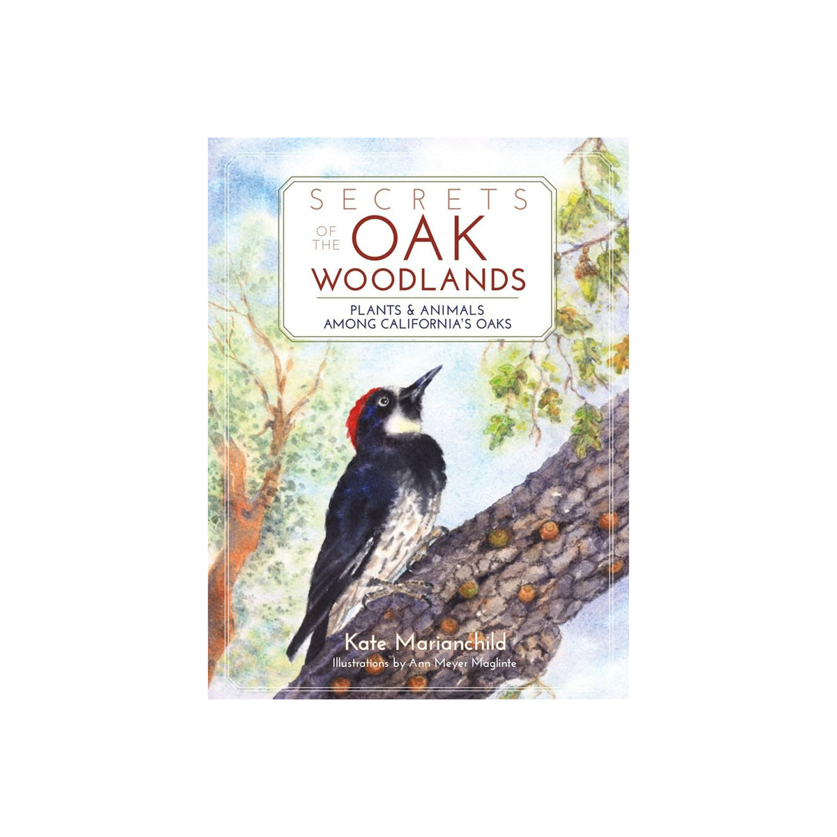 Book cover of 'Secrets of the Oak Woodlands' with a woodpecker illustration on a white background