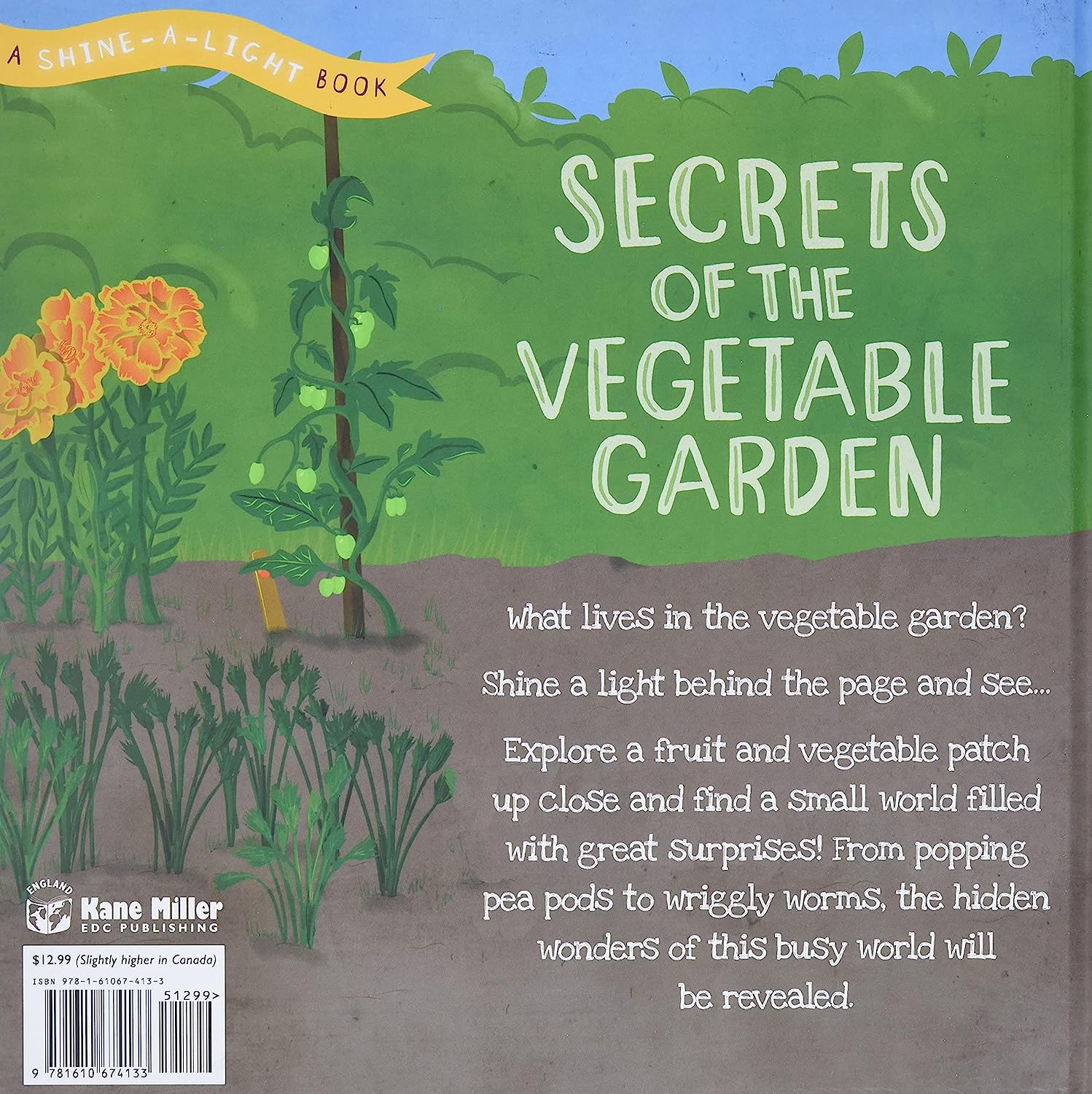 A vegetable garden grows under the sun. If you look closely between the stalks, beneath the leaves, and under the soil, you will spot the animals and plants living there. Hold a page up to the light to reveal what is hidden in and around the vegetable garden and discover a small world of surprises. Age: 2 - 6 years.