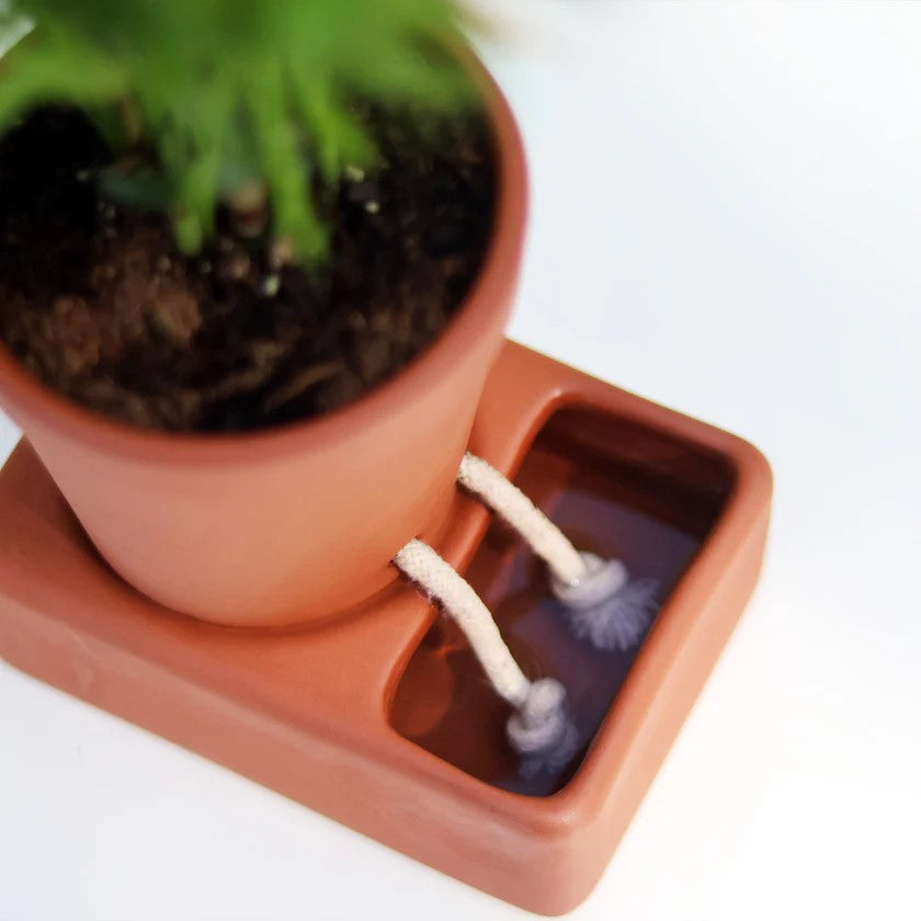 self watering plant holder SELF WATERING PLANT POT