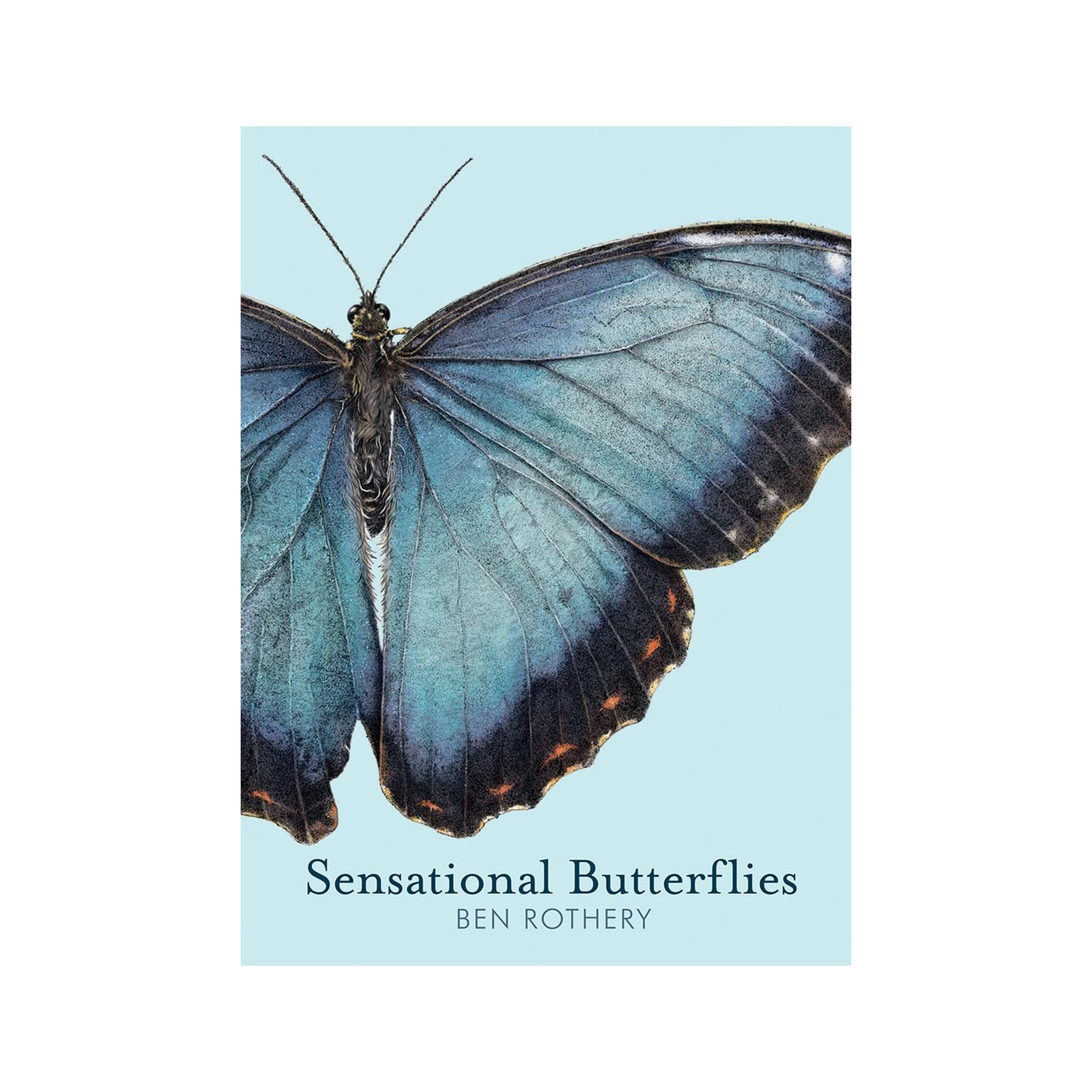 Book cover of 'Sensational Butterflies' with a blue butterfly illustration on a light blue background
