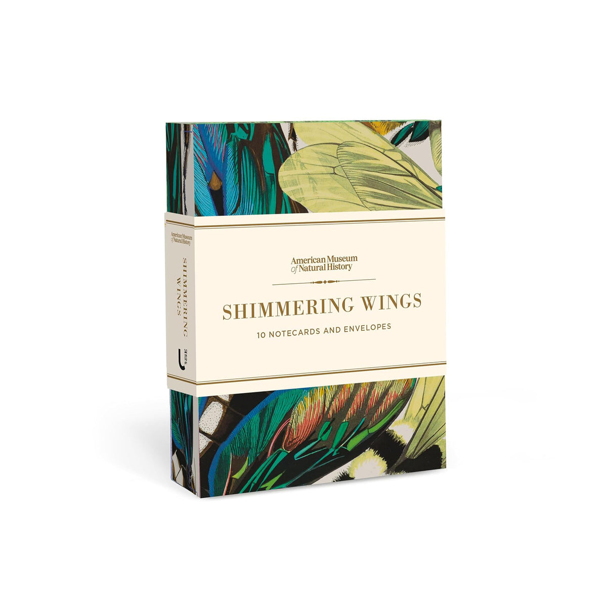 Box of 'Shimmering Wings' notecards with insect designs on a white background