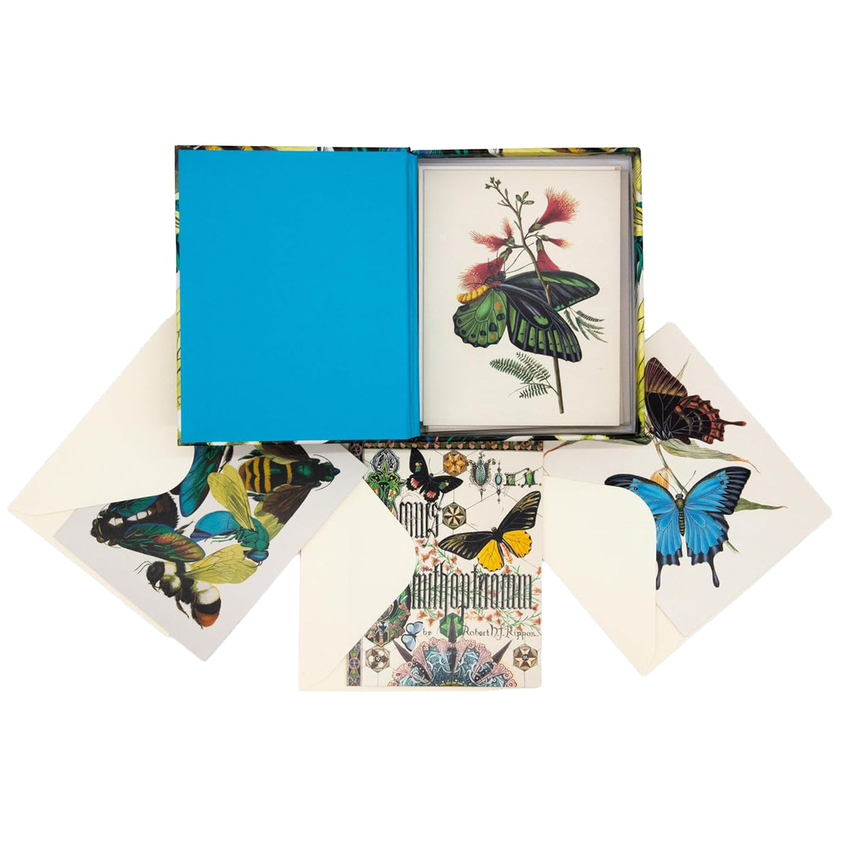 SHIMMERING WINGS NOTECARD SET