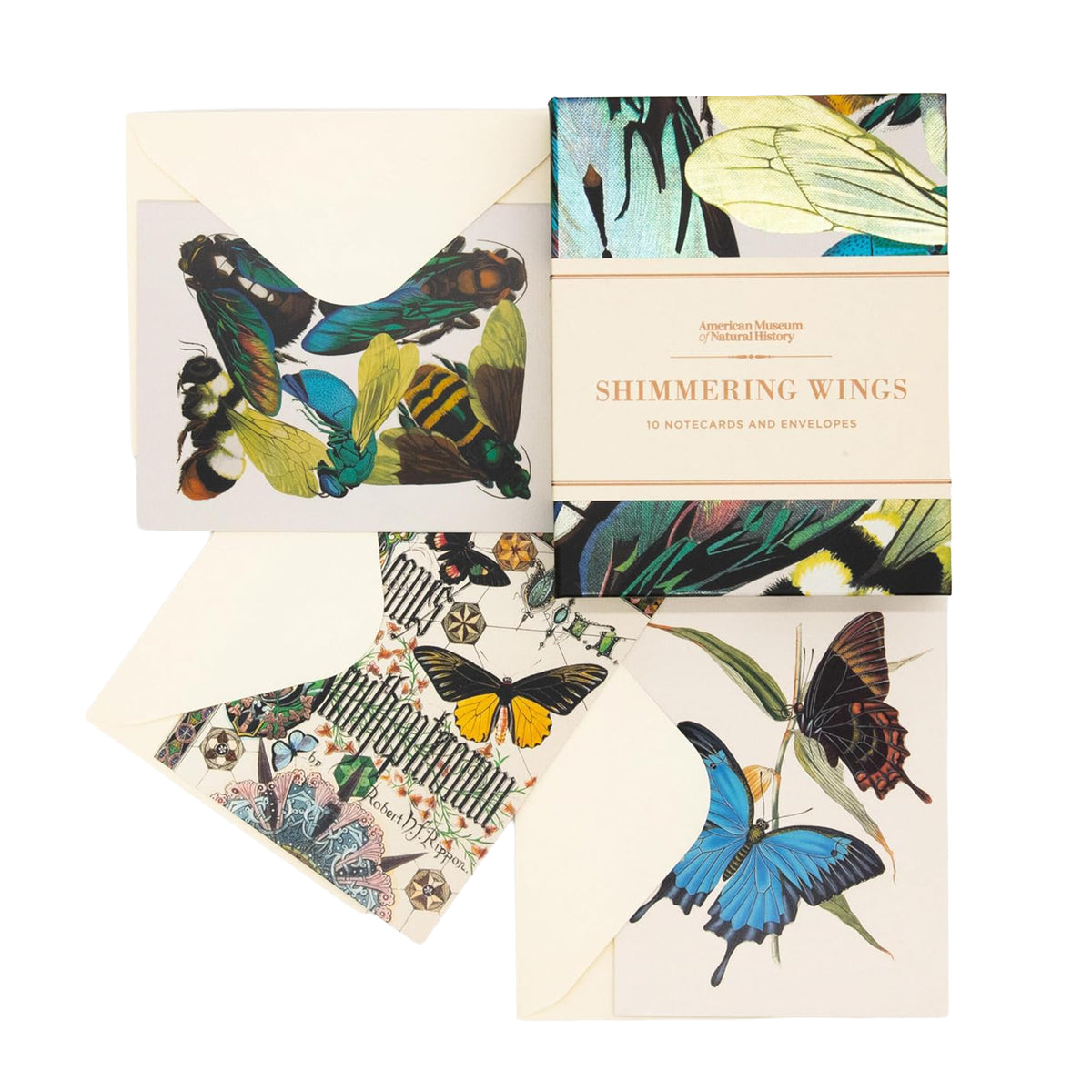 SHIMMERING WINGS NOTECARD SET
