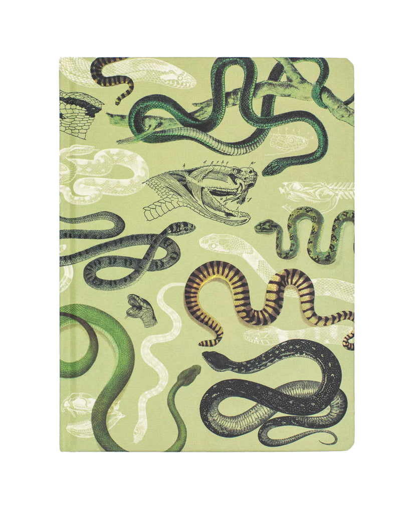 Use this anatomical snake-print hardcover notebook to record data on your favorite reptiles, take notes in a biology lecture, or start a journal.