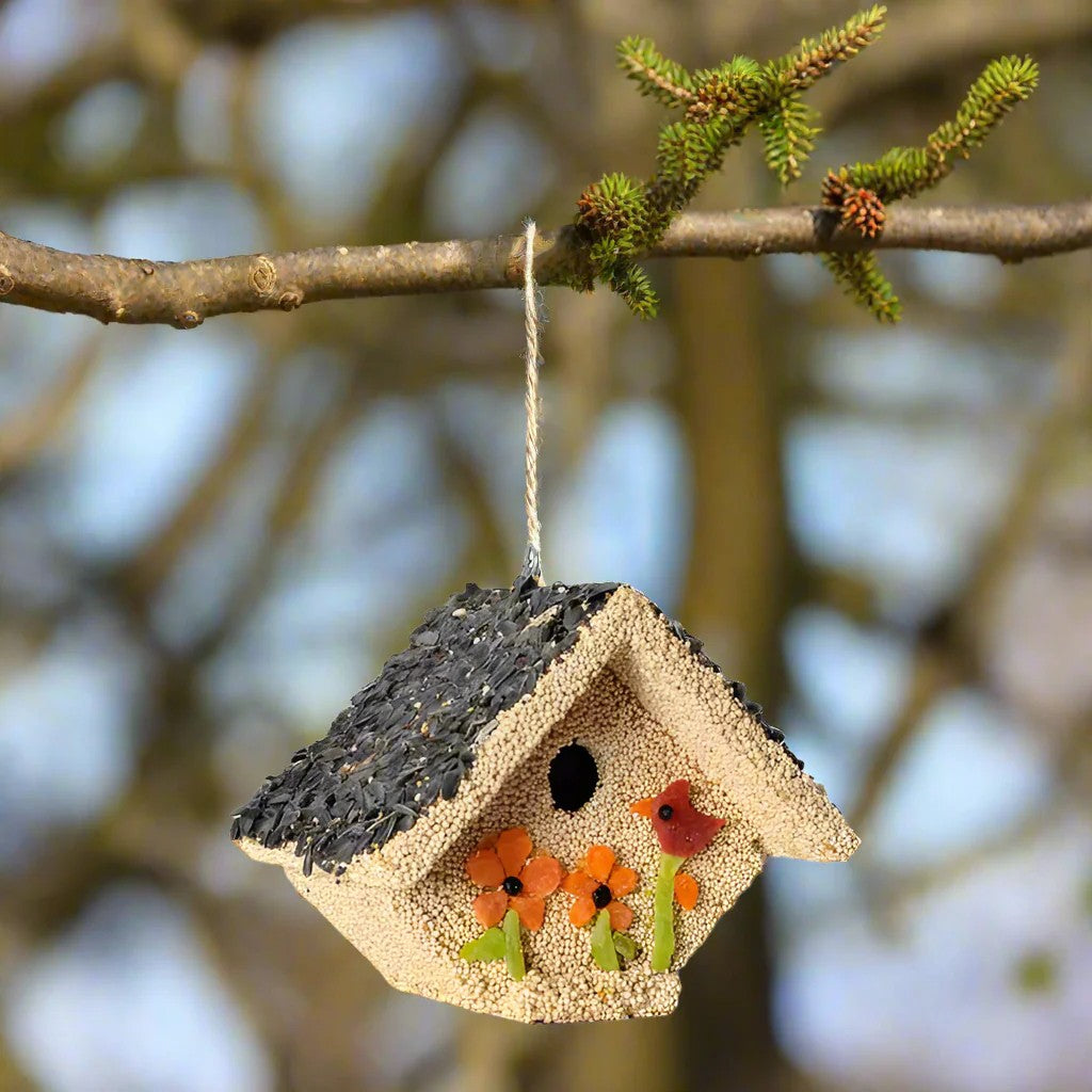 SPRING FRUIT CASITA BIRD HOUSE