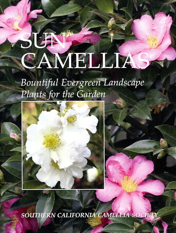Published by the Southern California Camellia Society, this handy reference guide catalogs the many varieties of Sun Camellias, which bloom and thrive, even in the full sun climate of Southern California. Full of tips on how to get the best blooms, and with full-color photography throughout. 48 pages. Softcover.