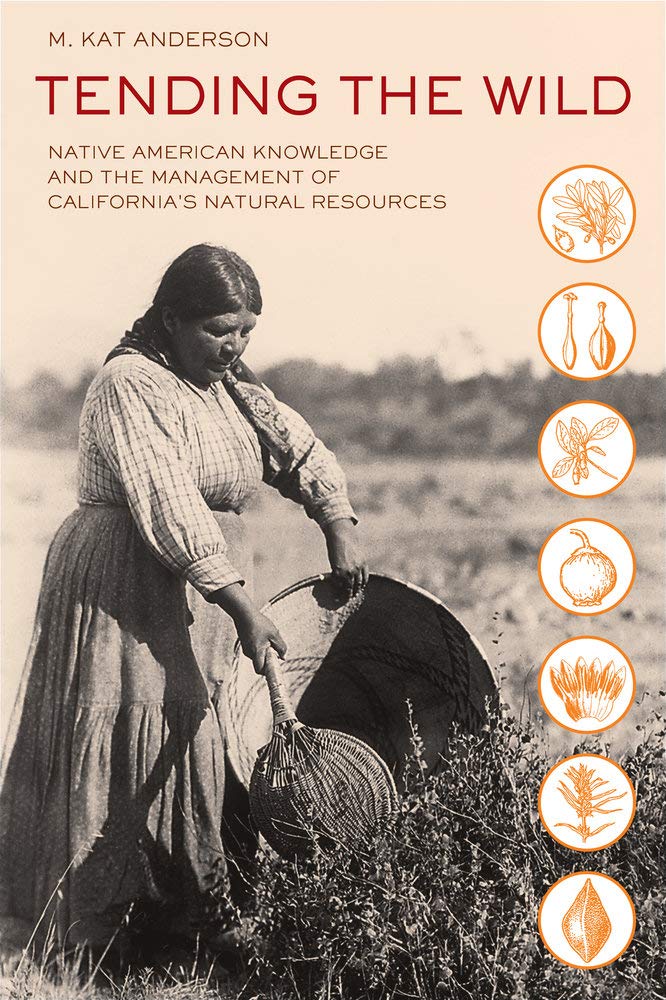 John Muir was an early proponent of a view we still hold today—that much of California was pristine, untouched wilderness before the arrival of Europeans. But as this book demonstrates, what Muir was really seeing when he admired the grand vistas of Yosemite and the gold and purple flowers carpeting the Central Valley were the fertile gardens of the Sierra Miwok and Valley Yokuts Indian.