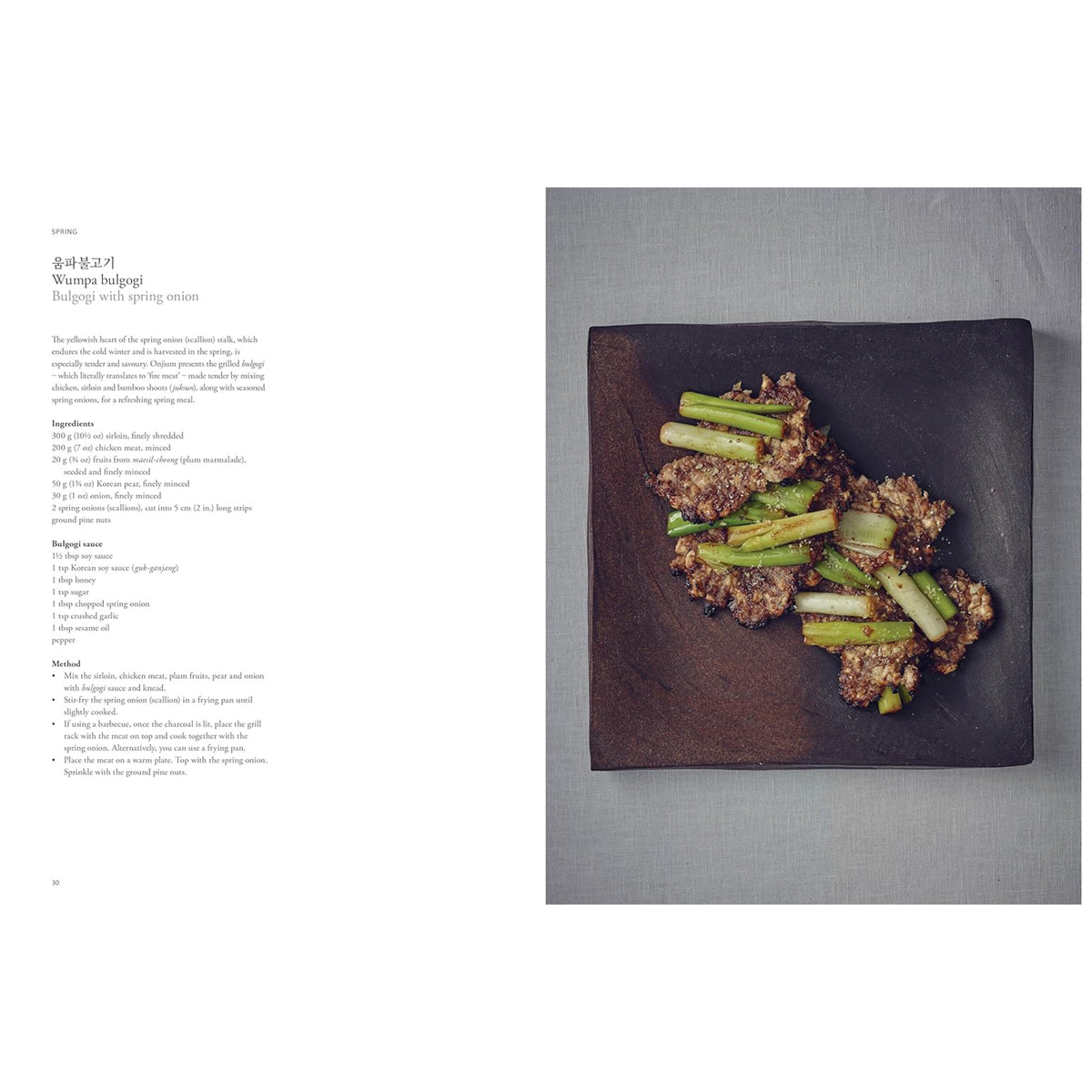 THE ART OF KOREAN COOKING