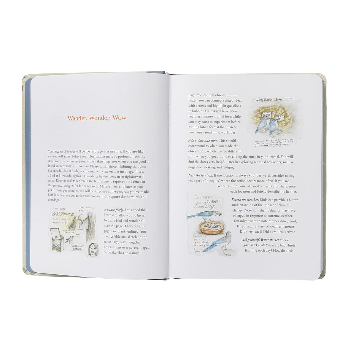 THE BACKYARD BIRD JOURNAL