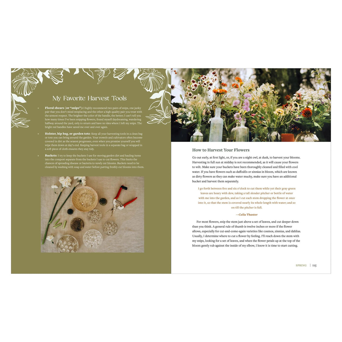 THE BEGINNER'S CUT FLOWER GARDEN: GROW, NOURISH, & CREATE BLISS YEAR-ROUND
