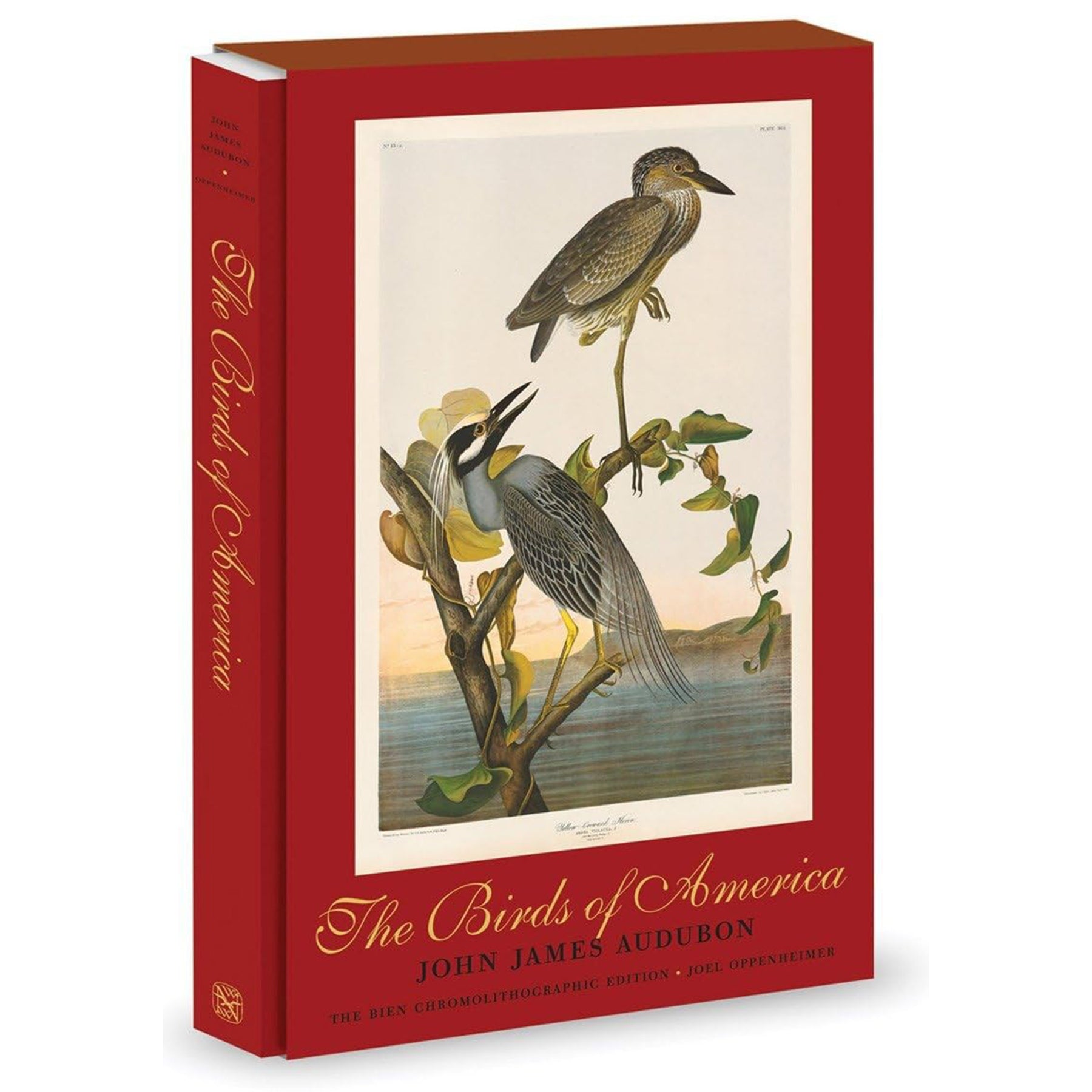 Book titled 'The Birds of America' by John James Audubon with a red cover and bird illustration.
