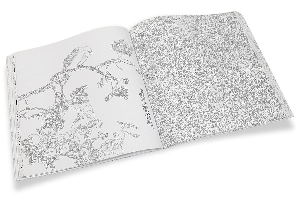 COLORS OF ASIA: AN ANTI-STRESS COLORING BOOK FOR CALM AND CREATIVITY