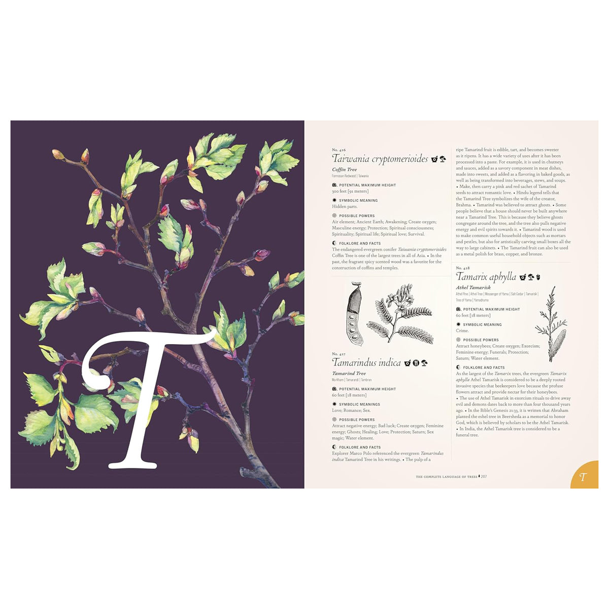 THE COMPLETE LANGUAGE OF TREES