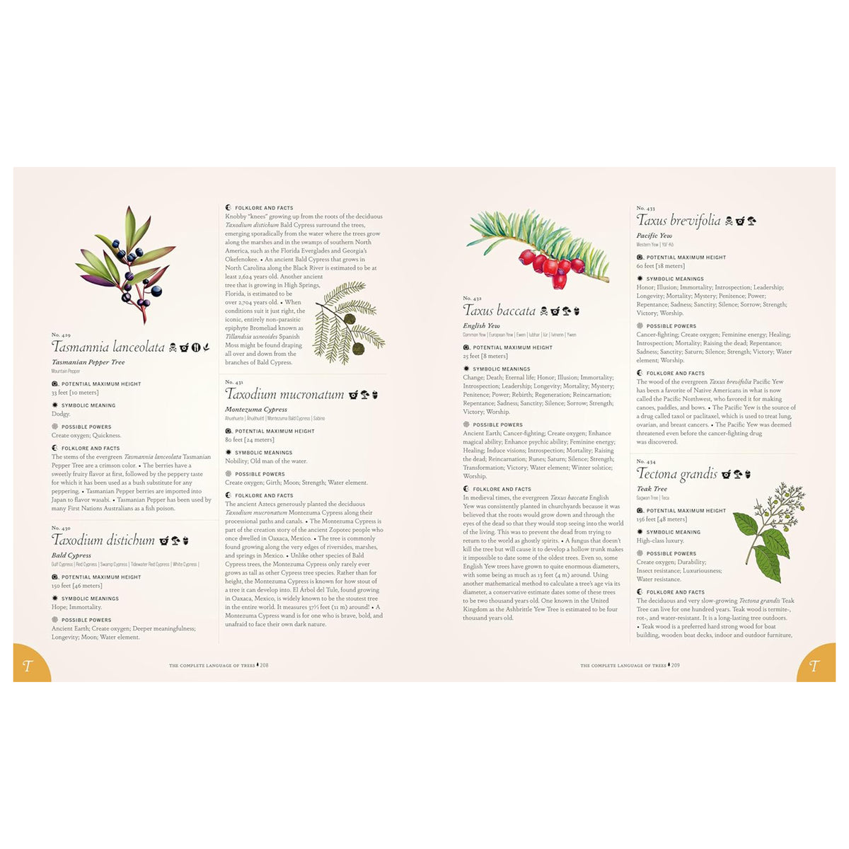 THE COMPLETE LANGUAGE OF TREES