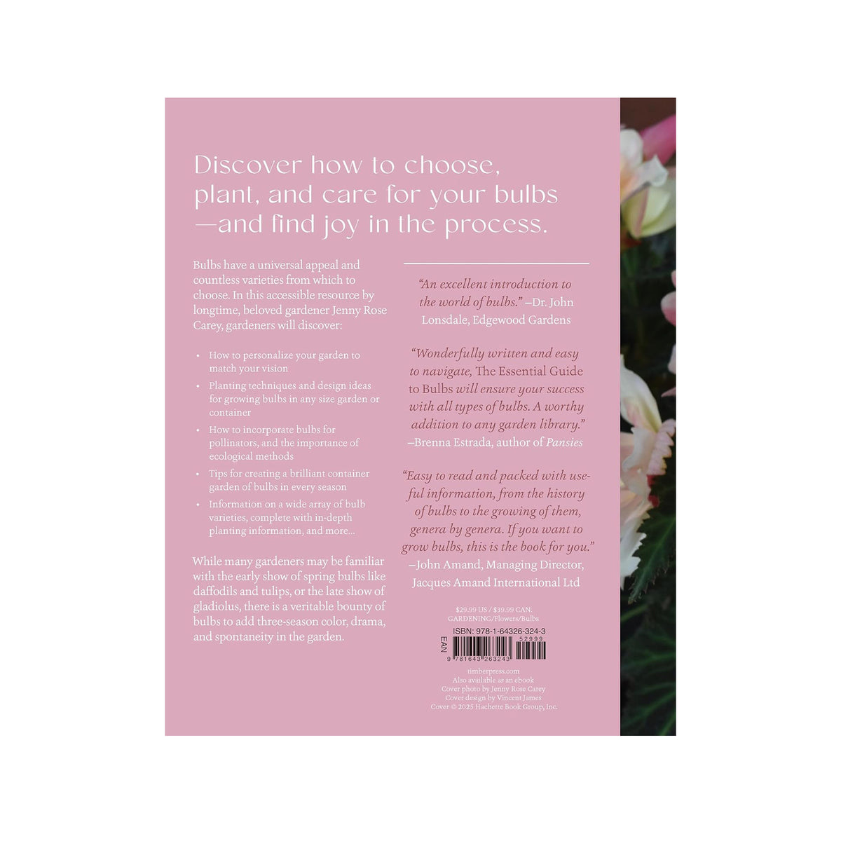 THE ESSENTIAL GUIDE TO BULBS