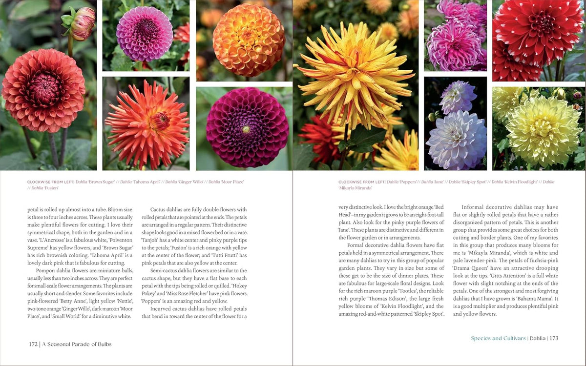 THE ESSENTIAL GUIDE TO BULBS