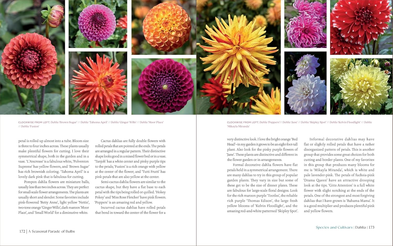 Book cover of 'The Essential Guide to Bulbs' with floral design and text.