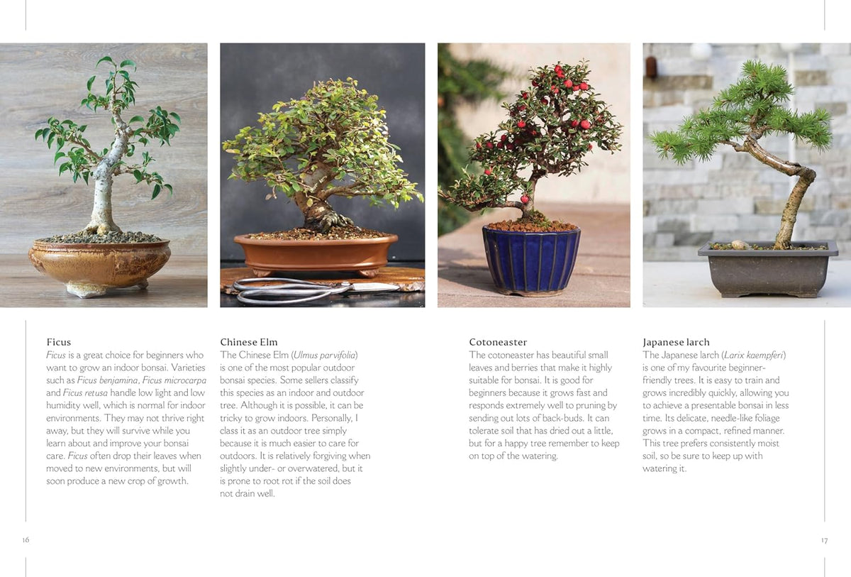 THE HAPPY BONSAI HANDBOOK