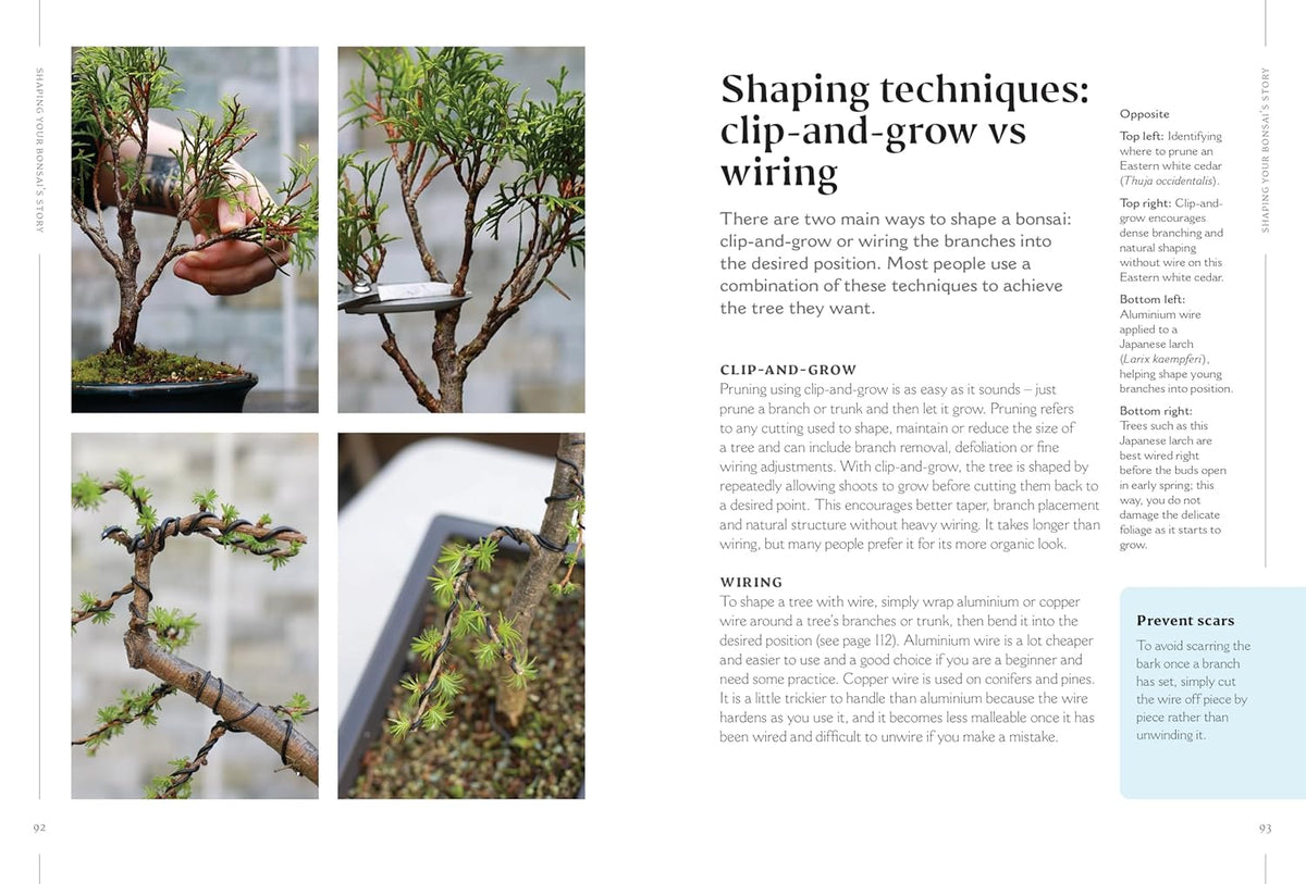 THE HAPPY BONSAI HANDBOOK