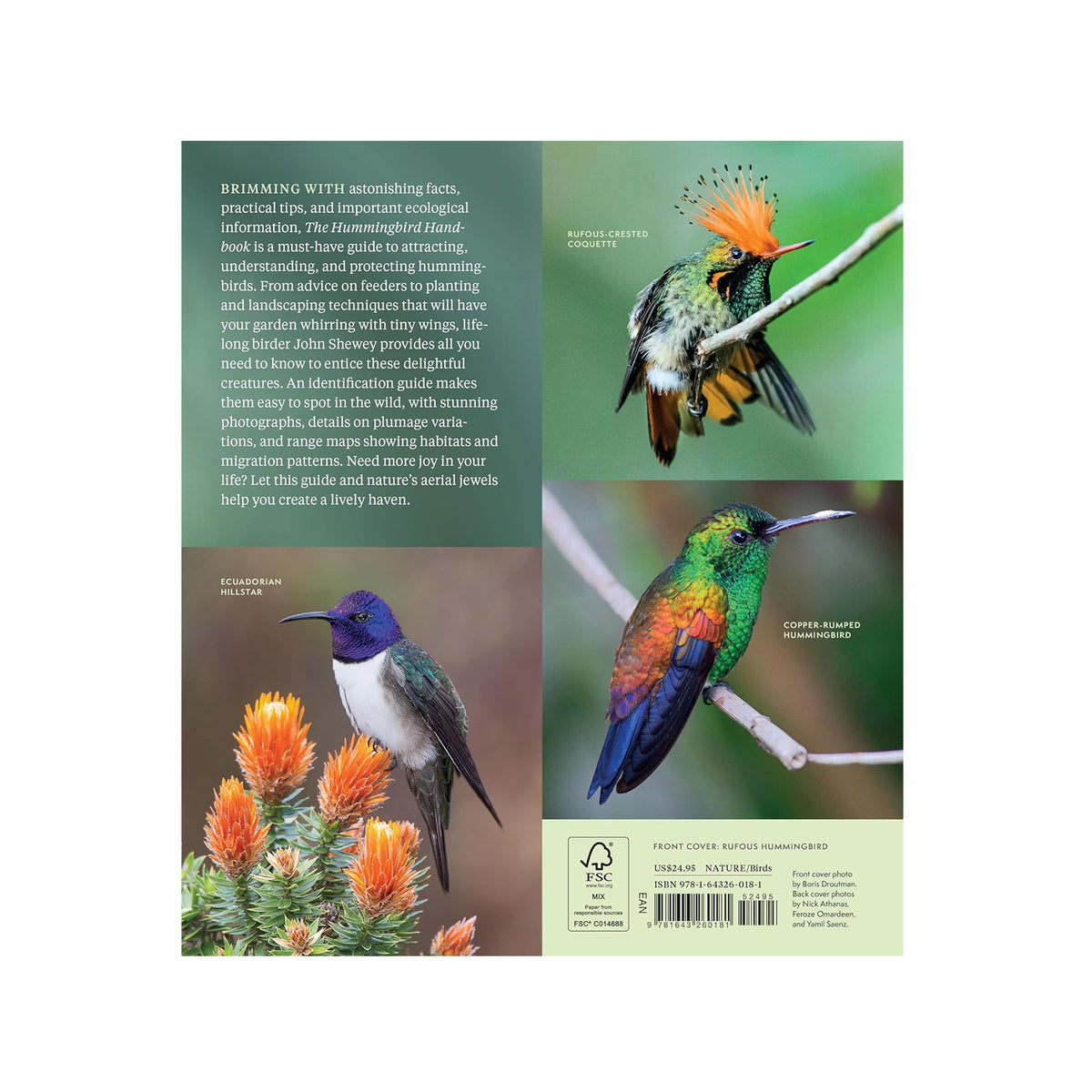THE HUMMINGBIRD HANDBOOK