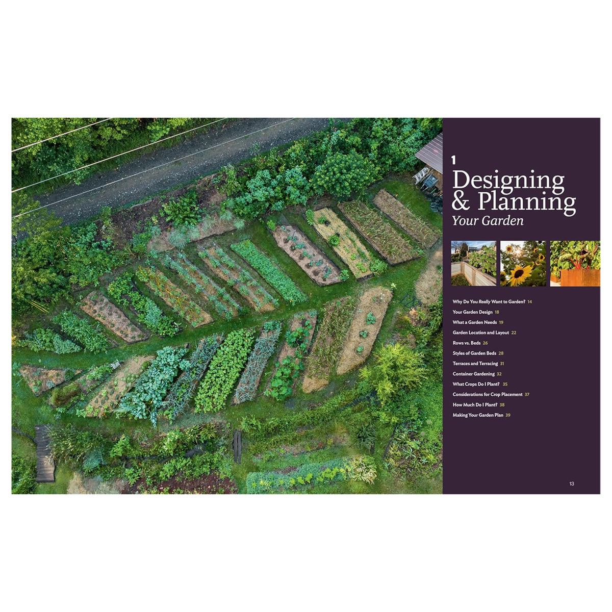THE NEW NATURAL FOOD GARDEN