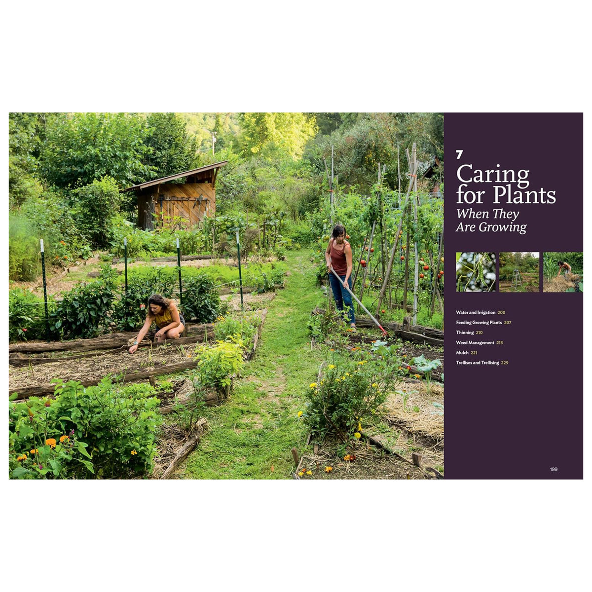 THE NEW NATURAL FOOD GARDEN