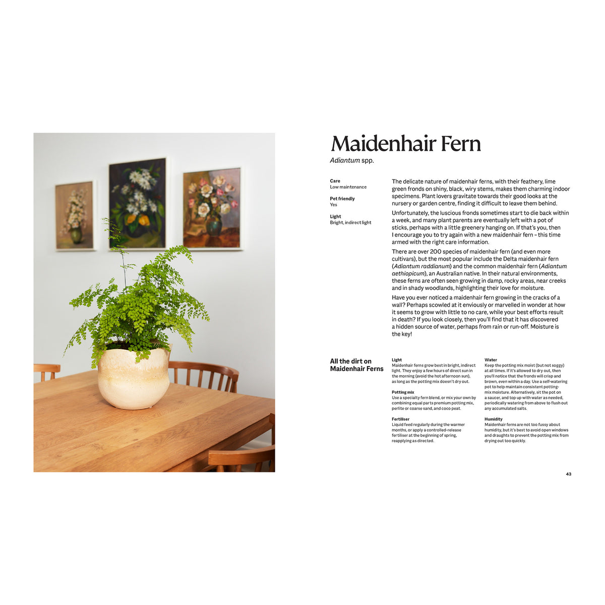 PLANT BOOK: THE ULTIMATE GUIDE TO THRIVING HOUSE PLANTS