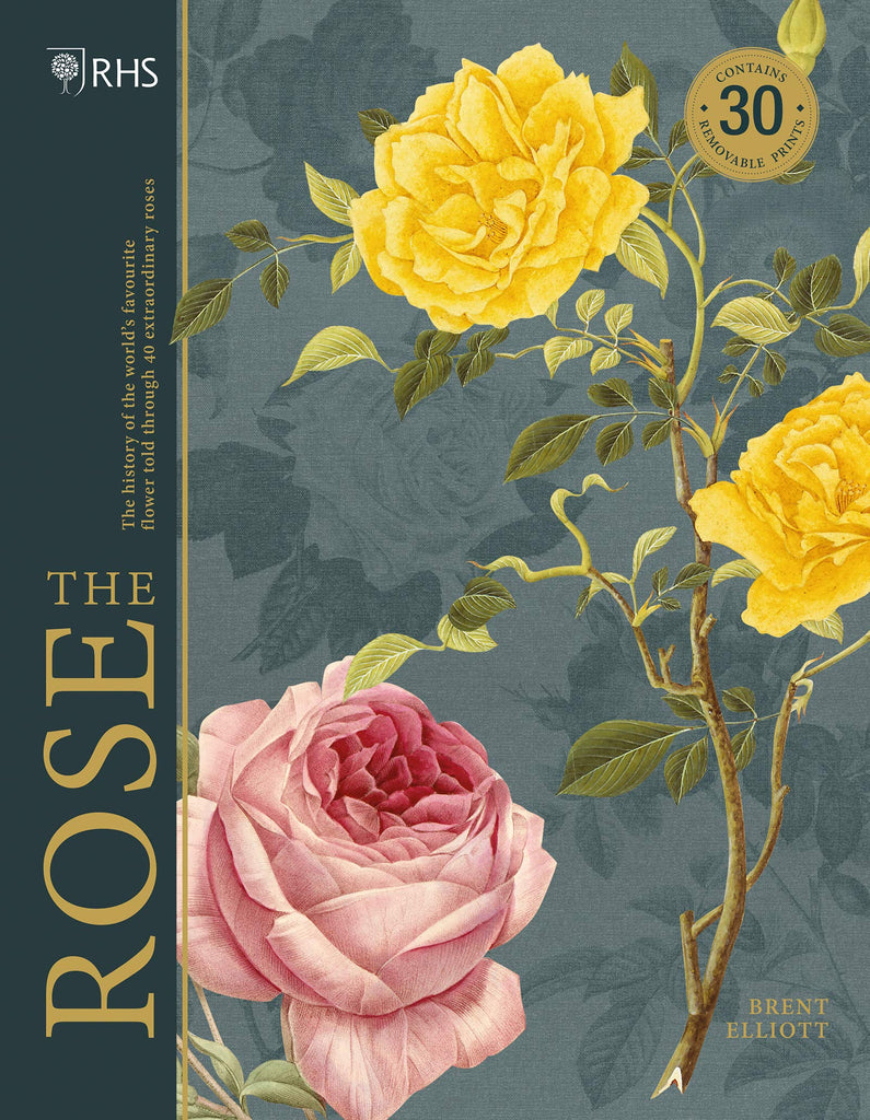 The Rose tells the story of the world's favorite flower through 40 of the most popular species and hybrids. Arranged chronologically, The Rose brings to life the arrival of each flower in European gardens, detailing the history of the layout of rose gardens. Includes 30 fine art prints, which can be removed & framed.