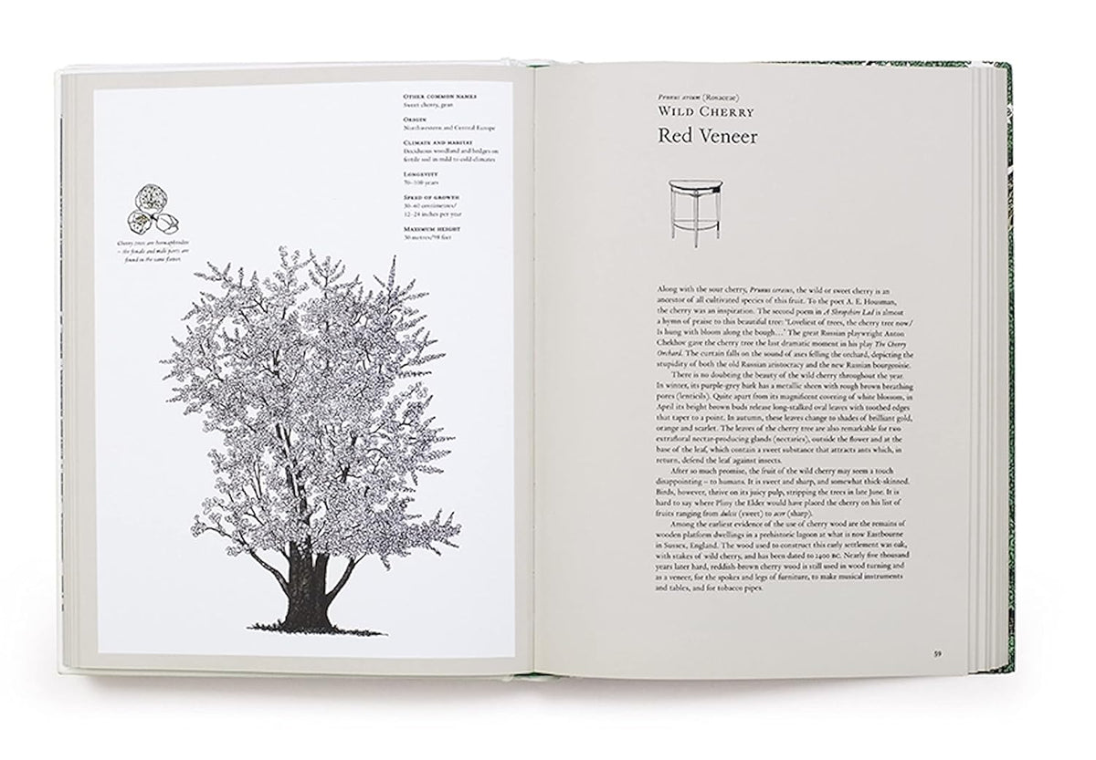 THE STORY OF TREES &amp; HOW THEY CHANGED THE WAY WE LIVE