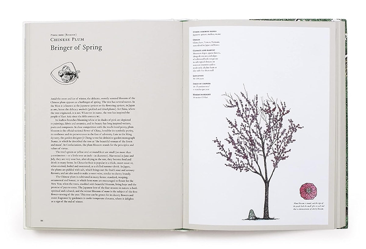 THE STORY OF TREES &amp; HOW THEY CHANGED THE WAY WE LIVE