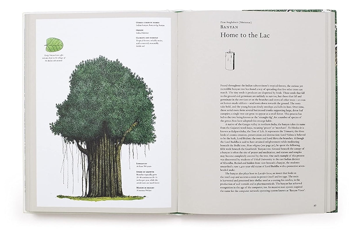 THE STORY OF TREES &amp; HOW THEY CHANGED THE WAY WE LIVE