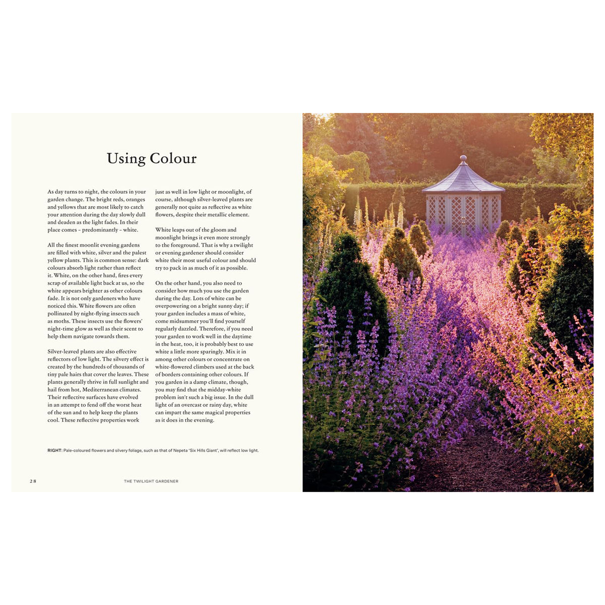 THE TWILIGHT GARDENER
