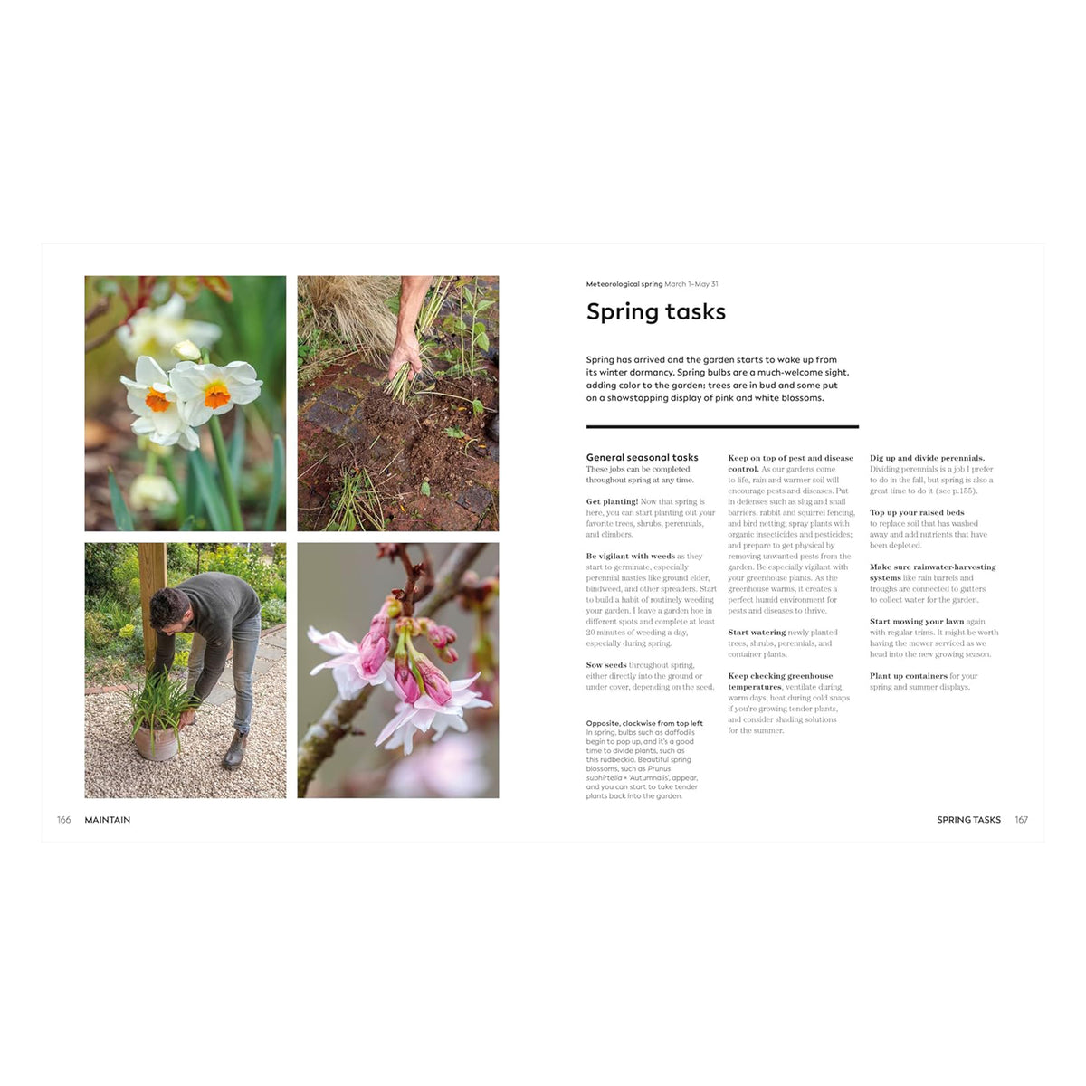 THE WEEKEND GARDENER