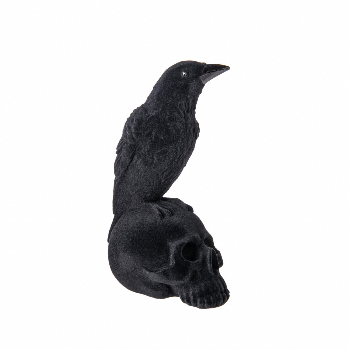 Black crow perched on a black skull on a white background