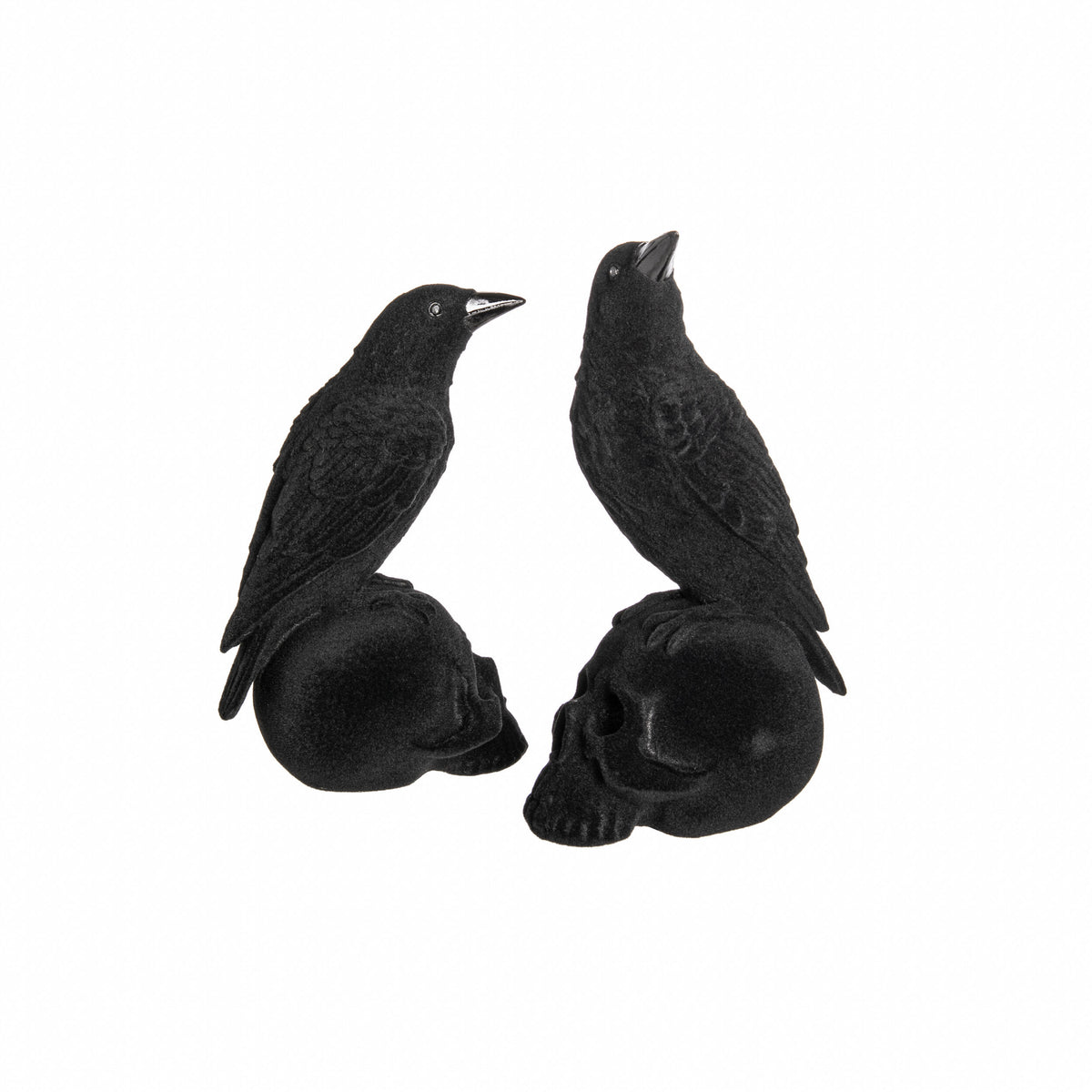 BLACK VELVET-FLOCKED CROW