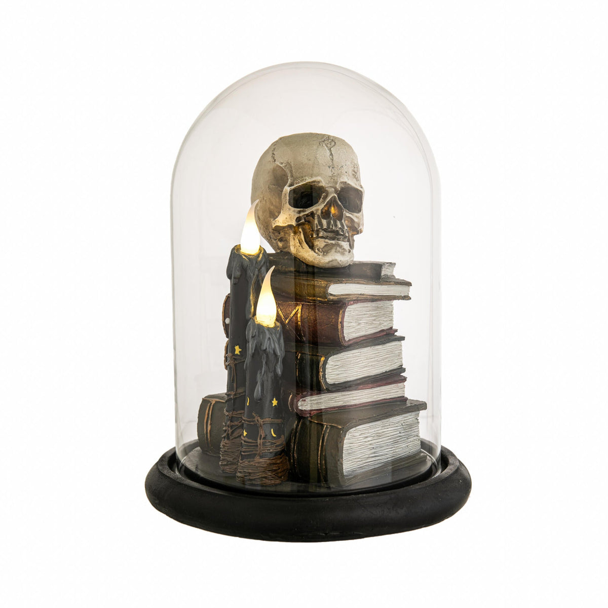 Skull and books under a glass dome on a white background