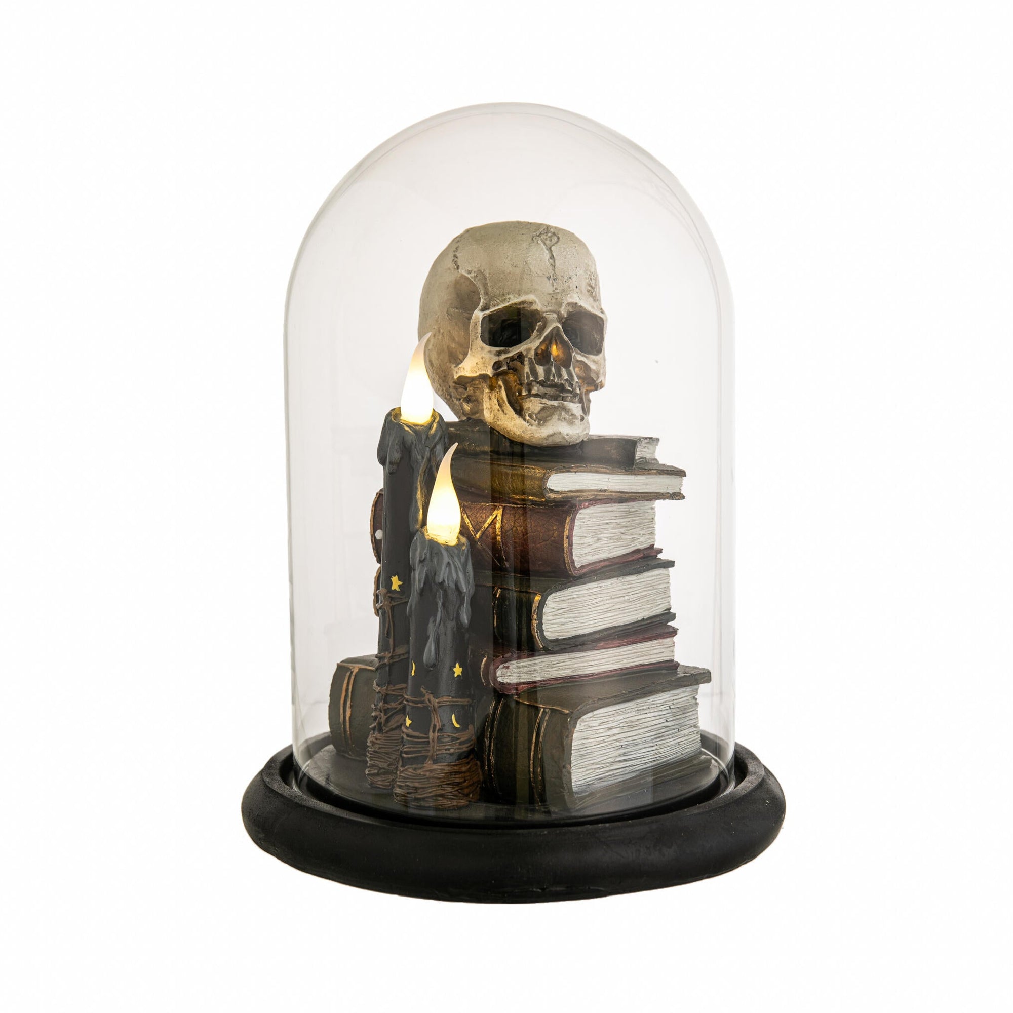 Skull and books under a glass dome on a white background