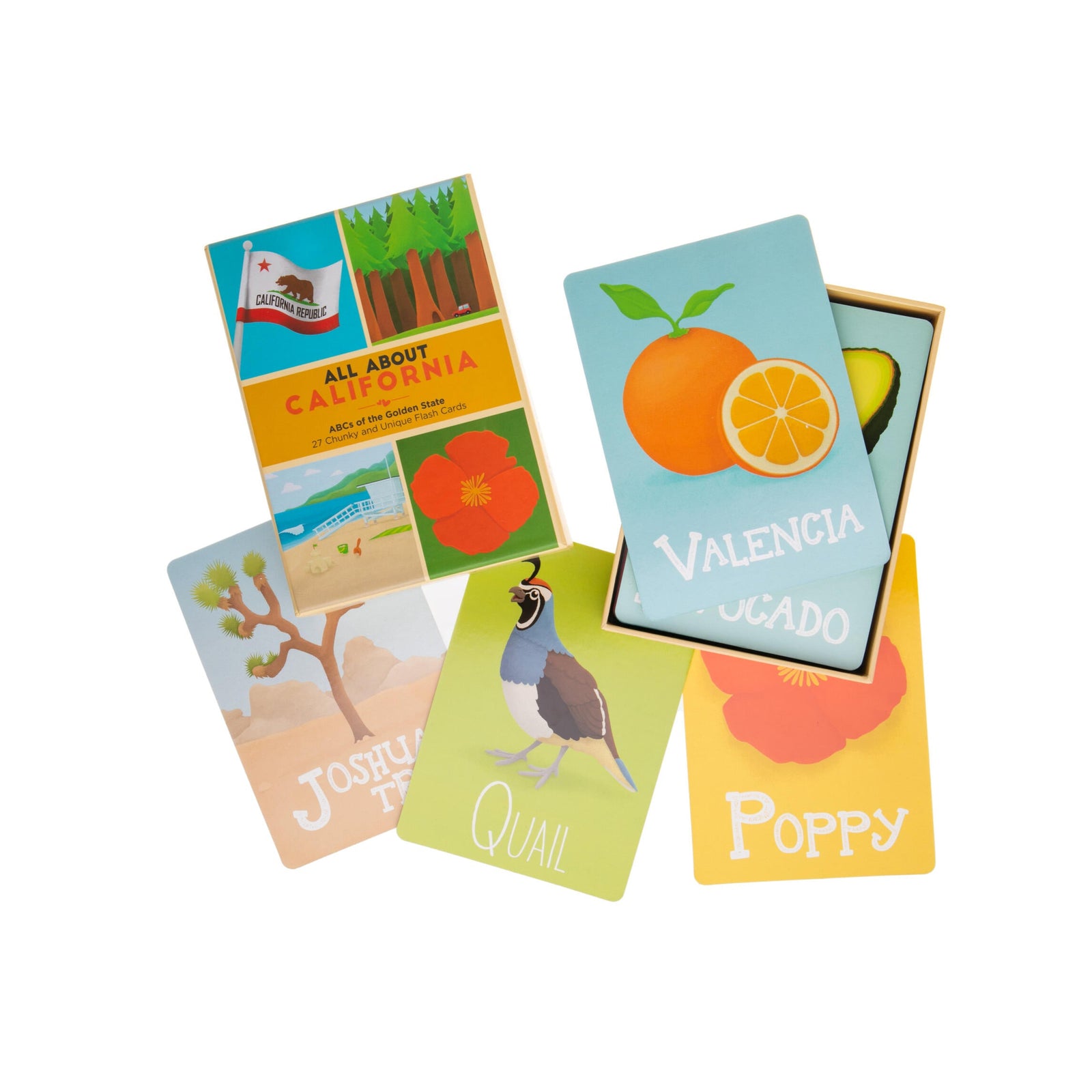 Collection of colorful educational cards on a white background