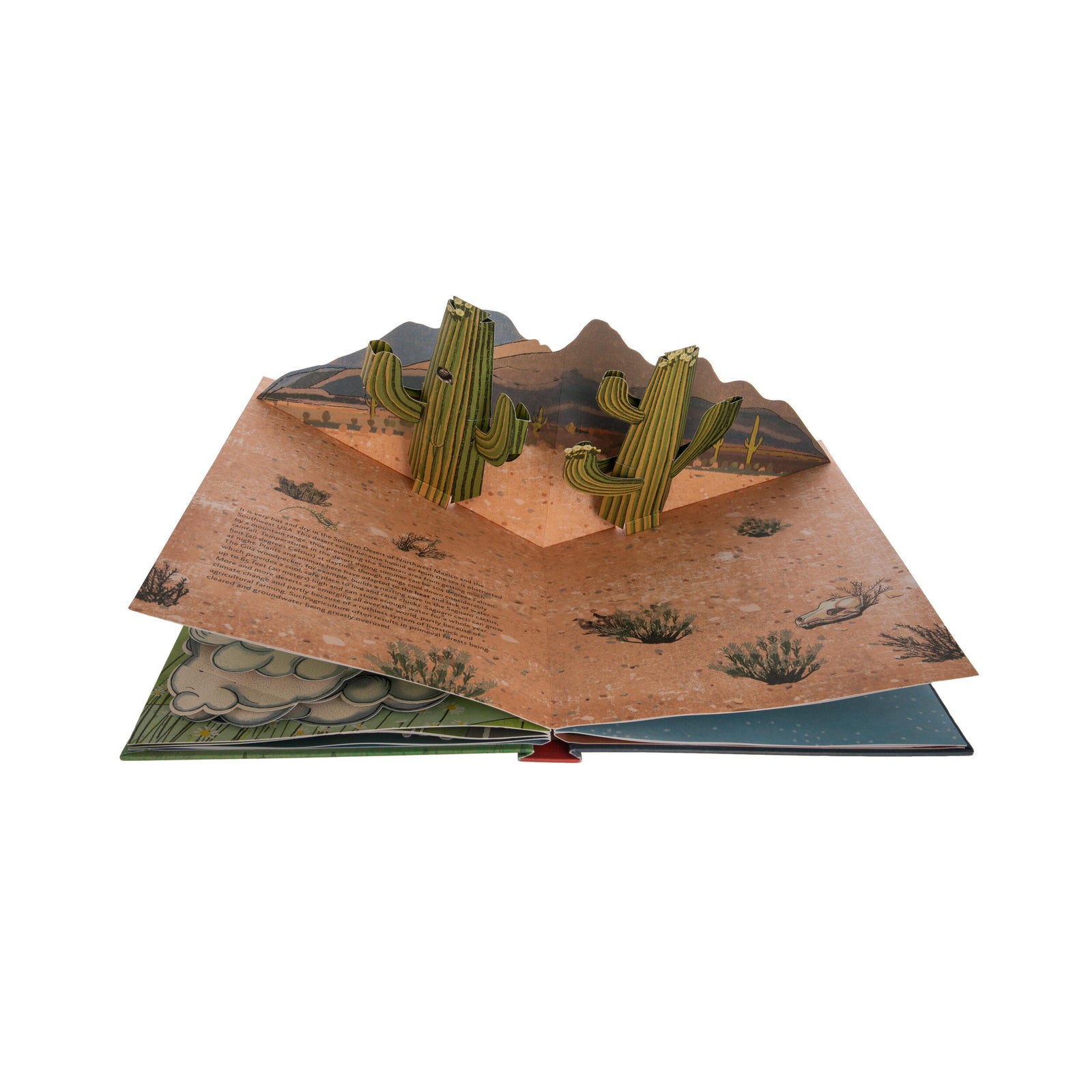 Pop-up book titled 'The Weather' with cloud and lightning design on a blue background.