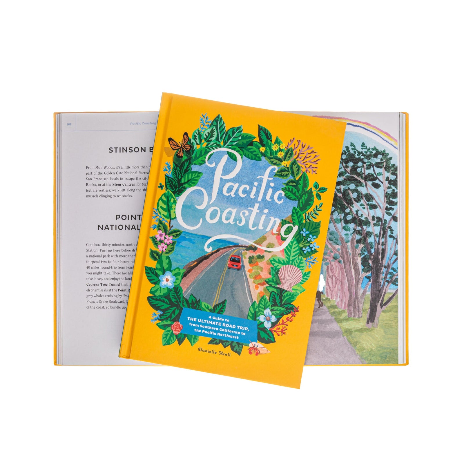 Book titled 'Pacific Coasting' with colorful cover design on a white background