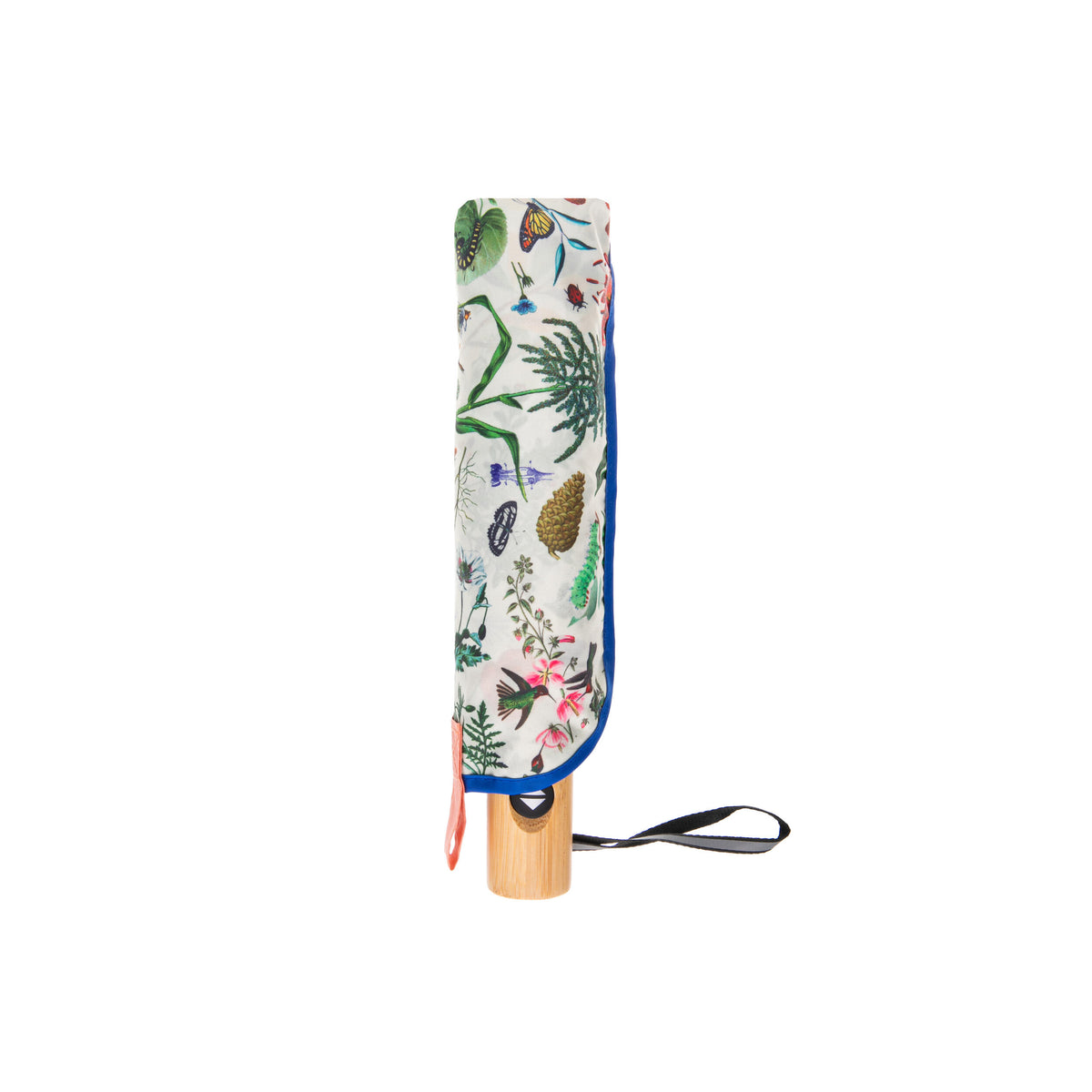 Umbrella with floral pattern on a white background