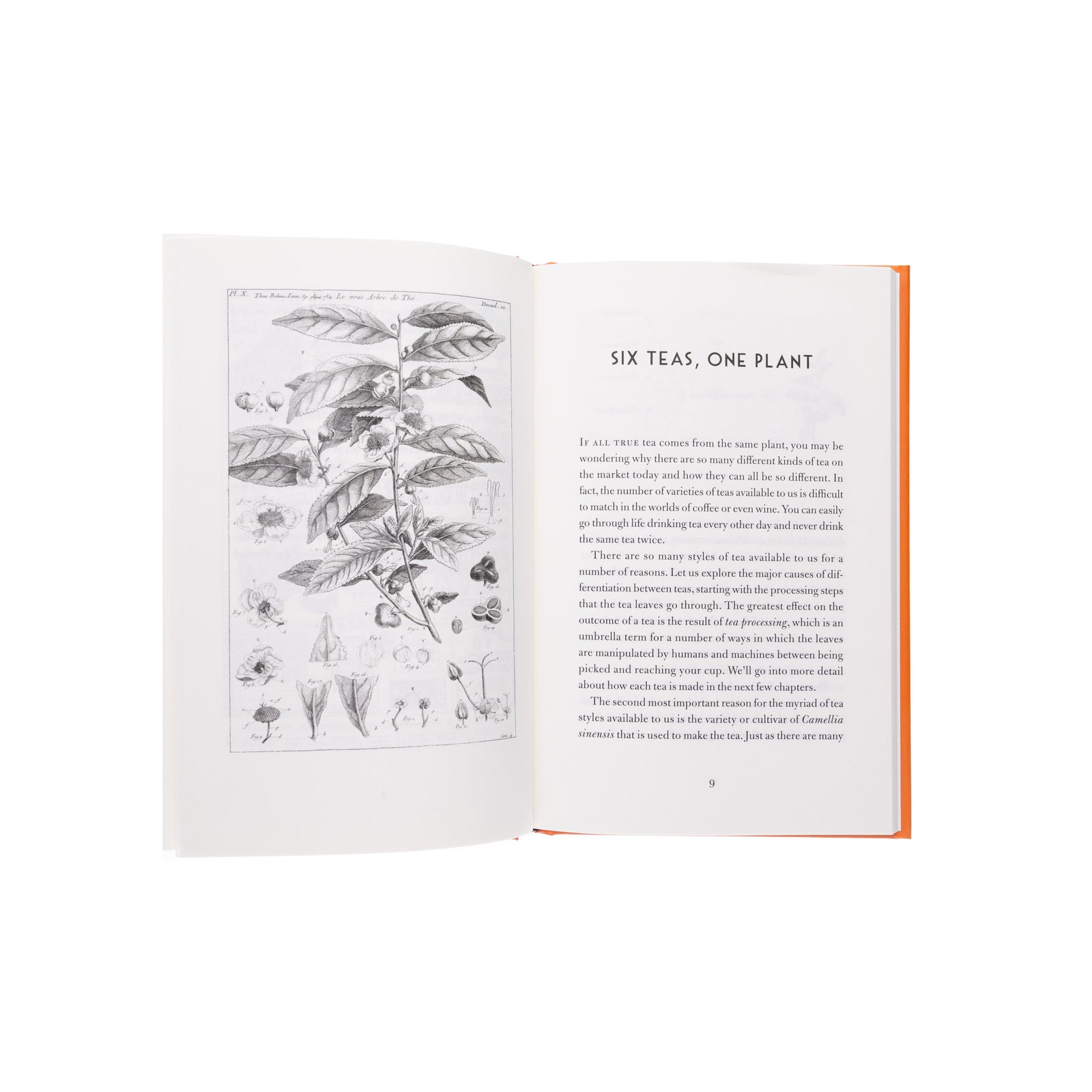 This gift book, The Philosophy of Tea, offers a captivating and enlightening exploration of tea’s history and culture. This seemingly simple hot beverage is imbued with artistic and religious overtones. Explore the many ways that tea has shaped and impacted our world with this unique gift book. 112 pages Hardcover