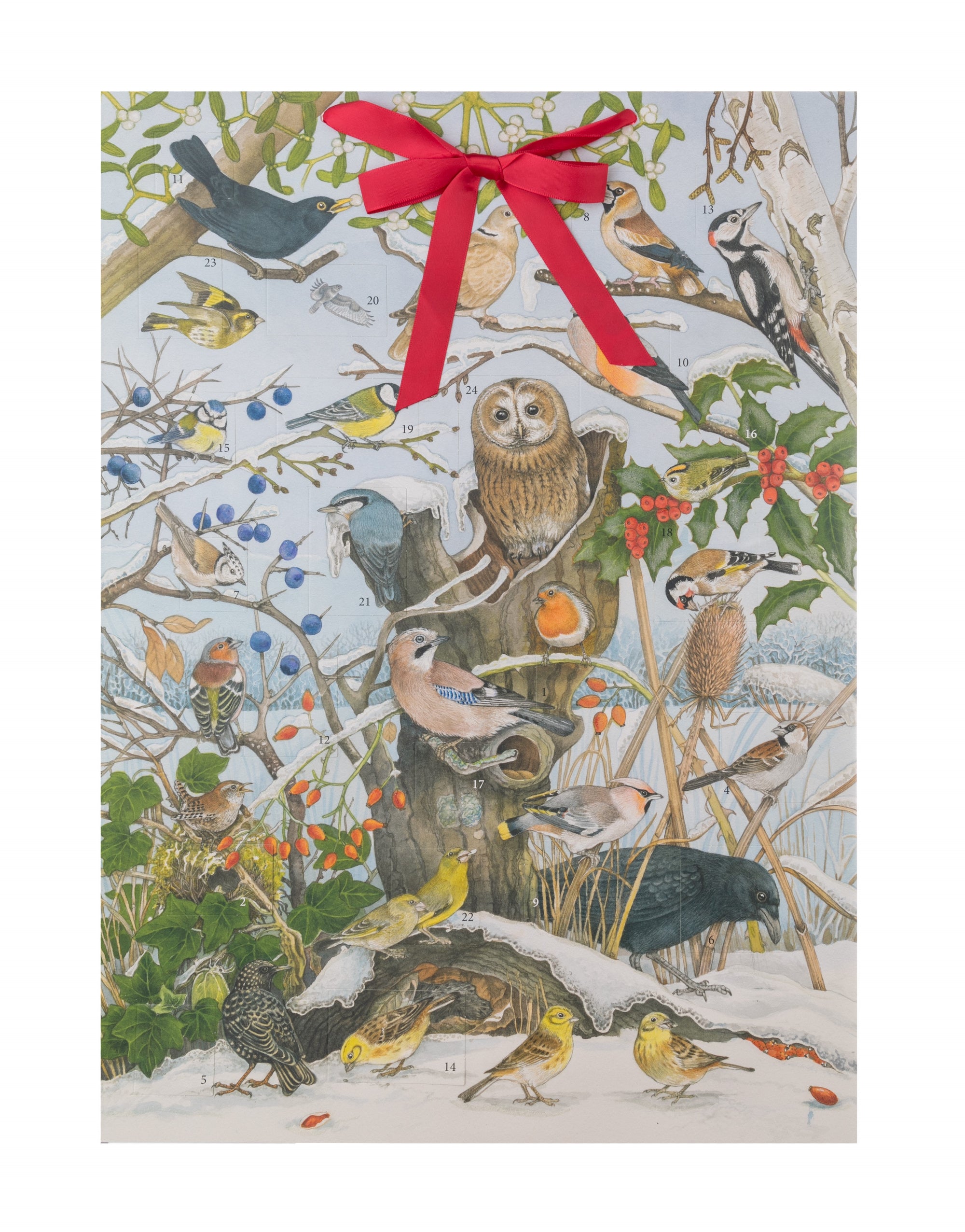 A decorative advent calendar featuring watercolor illustrations of birds in winter, with a red ribbon bow at the top.