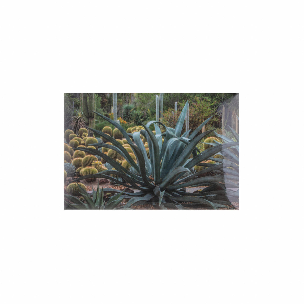 DESERT GARDEN MAGNET