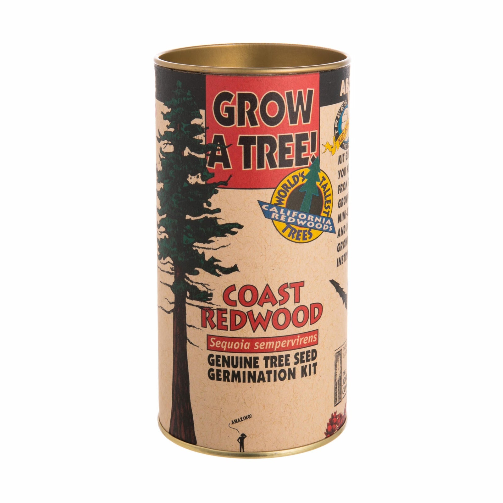 'Grow a tree' kit for growing a redwood tree, packaged in a vintage style cardboard tube box, with information about Coast Redwood seeds on a white background.